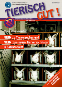 TG_Sommer 2024_Titelblatt